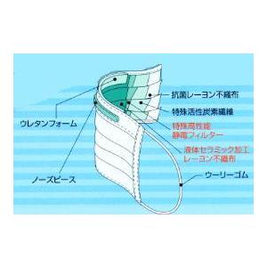 キャッチマスク　20枚入 （三和堂 ） |  | 01