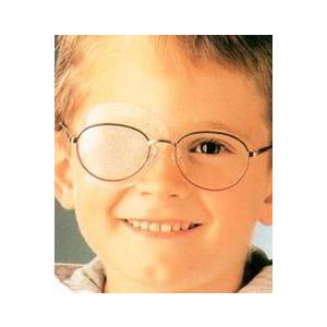 プロ−オフタ　ミニ（mini）　５０枚入／箱 |  | 01