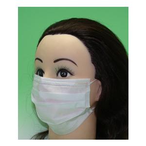 プロレーンマスク　（ホワイト） |  | 01