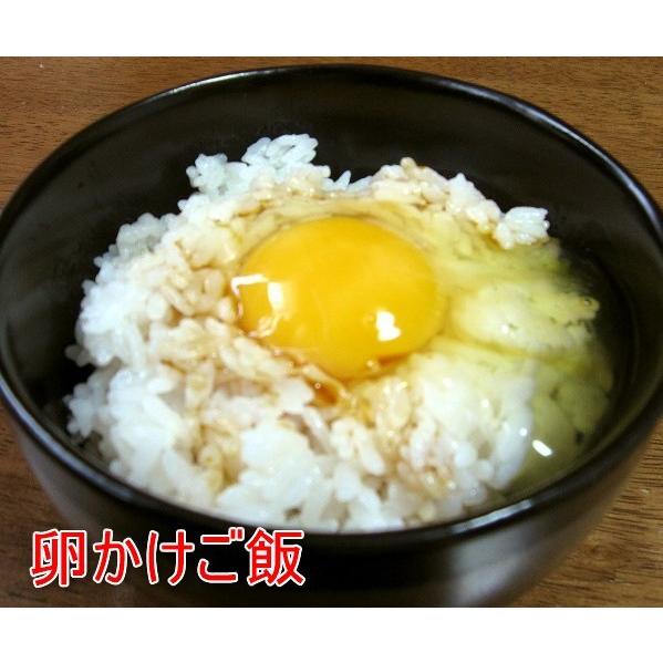 燻製 醤油 冷たい煙で燻製した醤油 燻製醤油 6本セット レストラン大澤 |  | 04