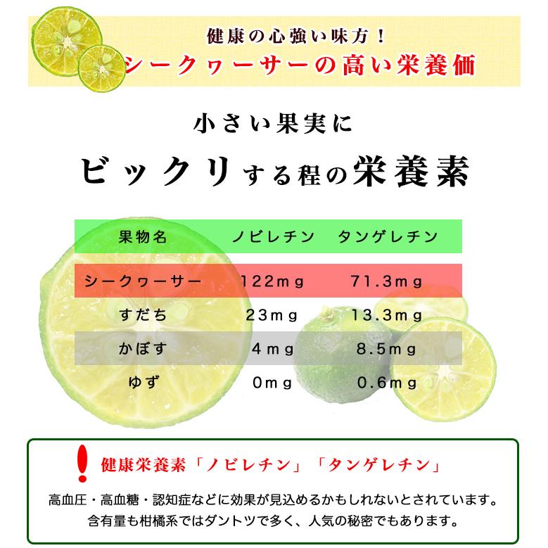 [沖縄産 シークワーサー] 沖縄の自然に育まれた シークヮーサー 沖縄県産果汁100%  500ml×12本セット 沖縄アロエ 体にやさしい無添加！まとめ買いでおトク！ | 沖縄アロエ | 05