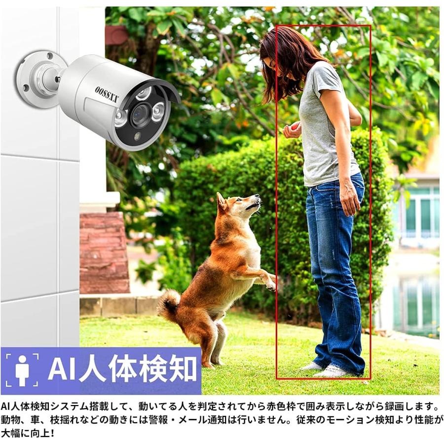 舗 安心防犯カメラ専門店POE給電 防犯カメラセット 500万画素 双方向