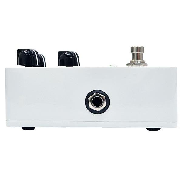 AMPEG ( アンペグ )OptoComp ベース用コンプレッサー Opto Comp Analog Optical Compressor Pedal - Ampeg Shop US