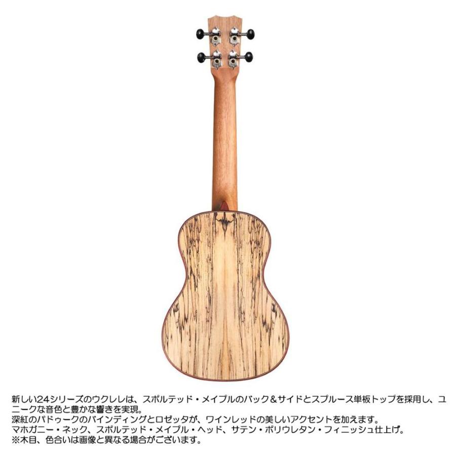 CORDOBA コンサートウクレレ 24C スプルース_2