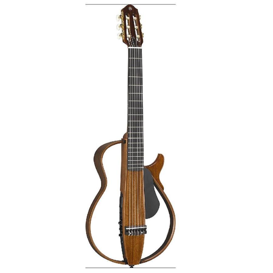 splenderアコースティックギター Amazon | PLAYTECH (プレイテック) アコースティックギター