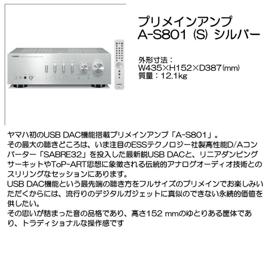 今季注目  【yamaha-aas801s2】 限定デザイン
