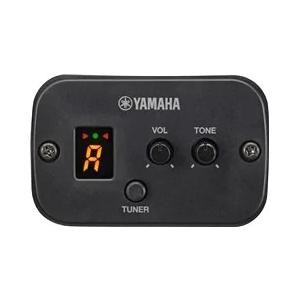 YAMAHA（ヤマハ） ミニエレアコ APXトラベラー APX-T2 NT ケース付