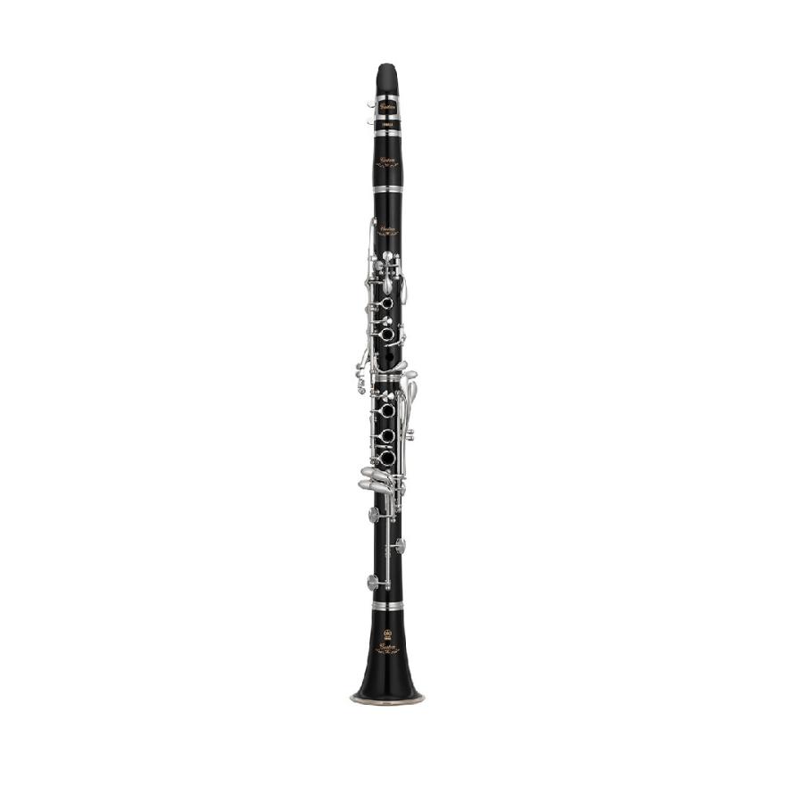 YAMAHA（ヤマハ） カスタムクラリネット YCL-SE : 大須楽器 ヤフー
