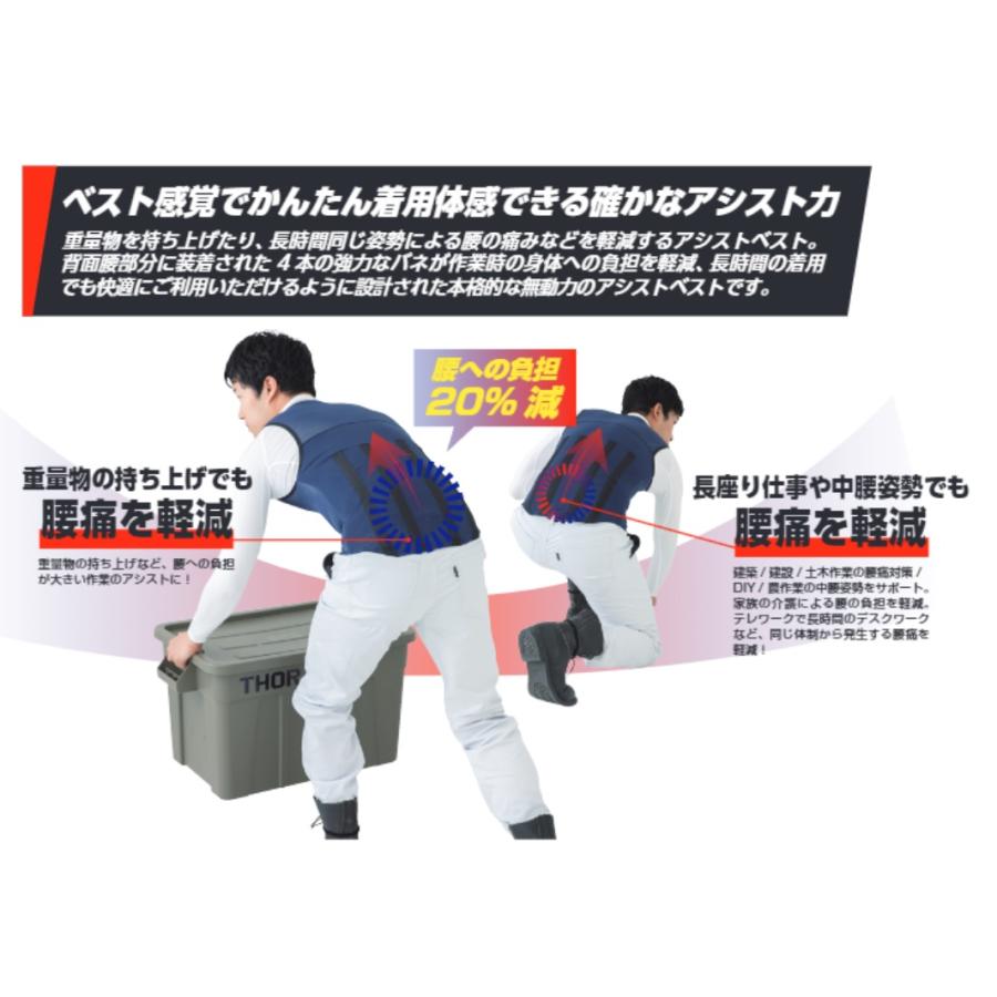 タスケルα アシストベスト ビッグボーン BWP201 タスケルアルファ