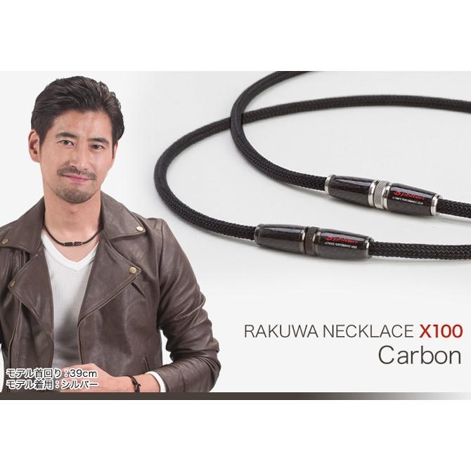 Phiten 送料無料 ファイテン RAKUWAネックX100 カーボン Phiten 送料無料 ファイテン RAKUWAネックX100 カーボン