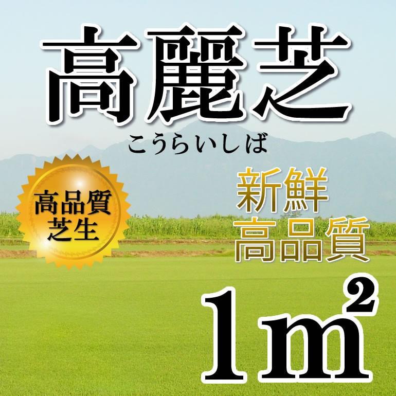 普通便】芝生 高麗芝 1平米 鹿児島産 : プロジェクト鹿児島 - 通販