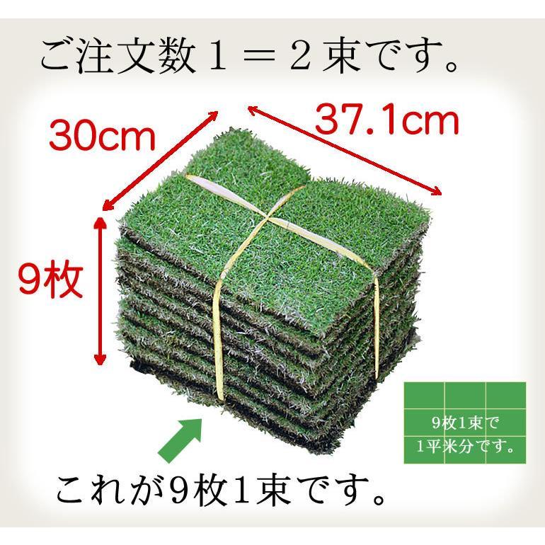 普通便】芝生 TM9 1平米 鹿児島産 : プロジェクト鹿児島 - 通販