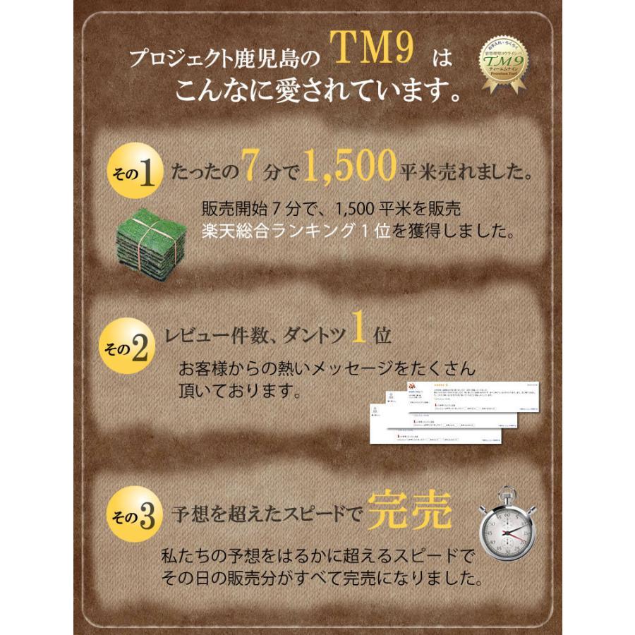 普通便】芝生 TM9 1平米 鹿児島産 : プロジェクト鹿児島 - 通販 