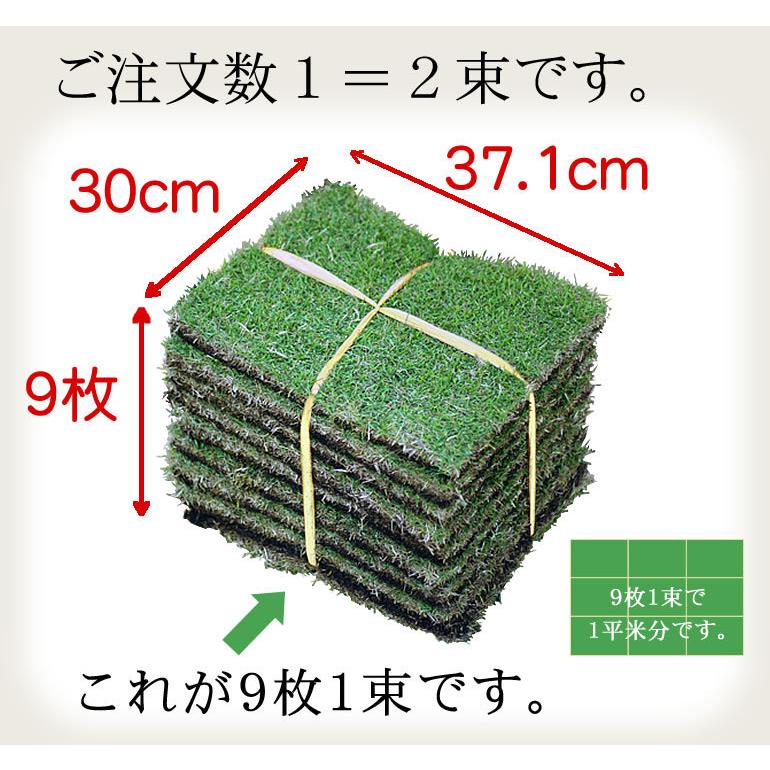 クール便】芝生 TM9 2平米 鹿児島産 : プロジェクト鹿児島 - 通販