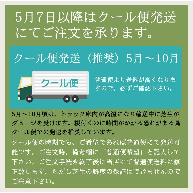 クール便】芝生 TM9 2平米 鹿児島産 : プロジェクト鹿児島 - 通販