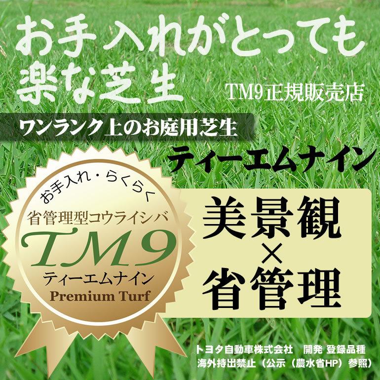 【クール便】芝生 TM9 2平米 鹿児島産｜oosumi｜03