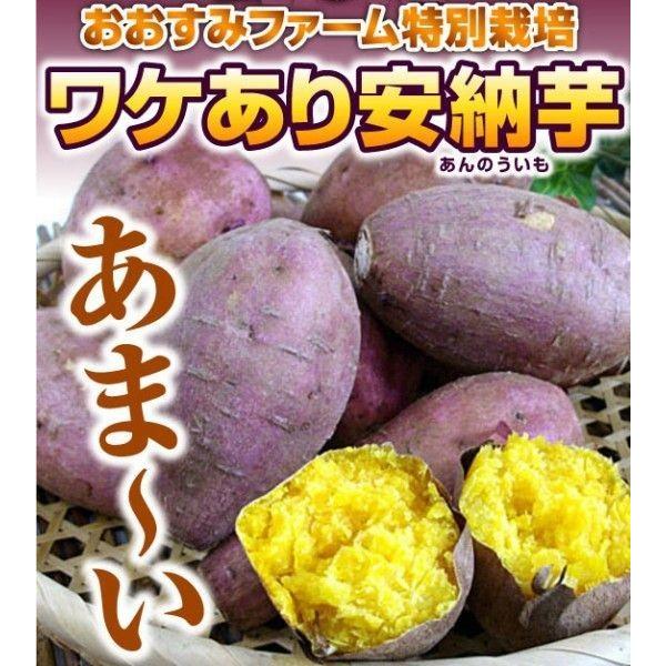 【5kg送料込み】ねーっとりトロトローな甘い安納芋をペーストにしちゃいました♪安納芋ペースト1kg×5個