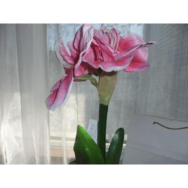 エミリオ ロバ アマリリス ガラス花瓶 Ea1401 鳳メガネ 通販 Yahoo ショッピング