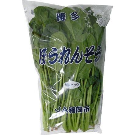 ほうれん草（ホーレン草）　１束　国産　国産　九州 | 