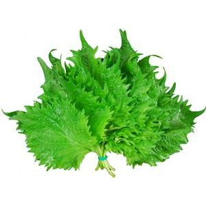 大葉（しそ）　１束（１０枚）　大分・九州産 | 