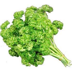 パセリ（ぱせり）　30g　九州産・佐賀・熊本・大分・他・千葉・北海道産 | 