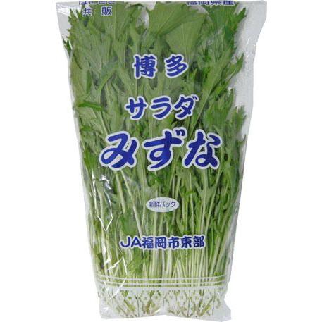 水菜（サラダミズナ・みずな） 1束約200g 福岡・九州産