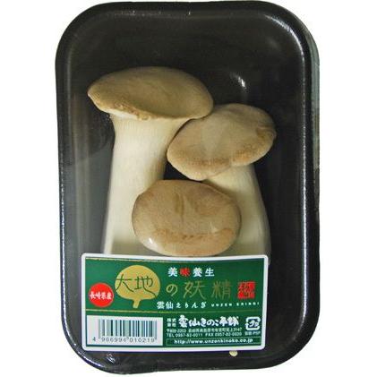 エリンギ エリンギ（えりんぎ） 100g 九州産・長崎産 : おおつる青果 - 通販
