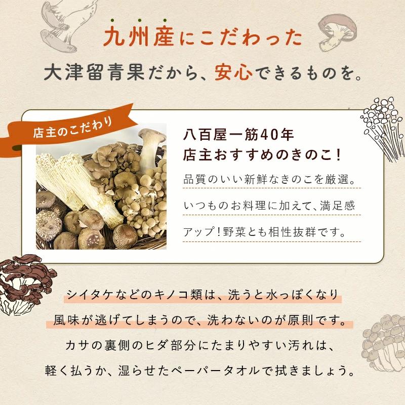 きのこセット 九州産・福岡・長崎・大分・宮崎 : おおつる青果 - 通販