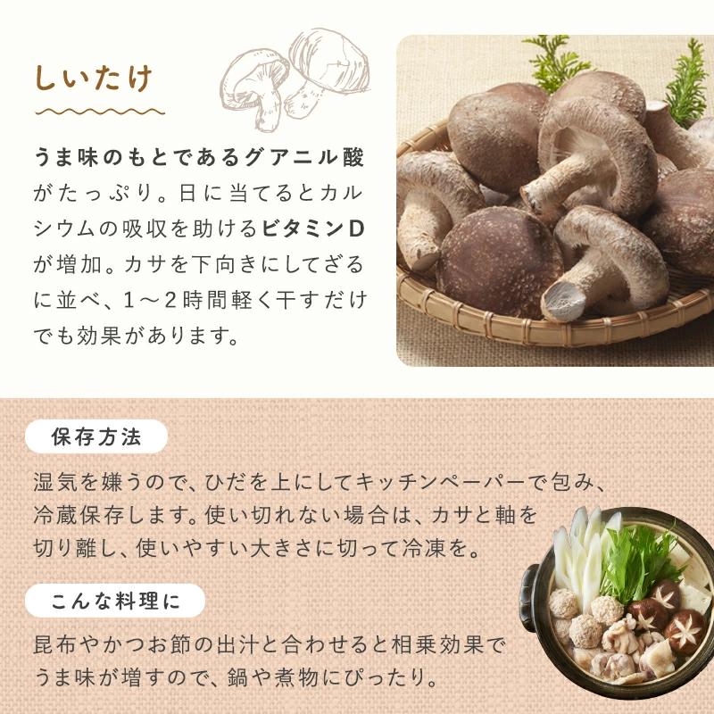きのこセット 九州産・福岡・長崎・大分・宮崎 : おおつる青果 - 通販