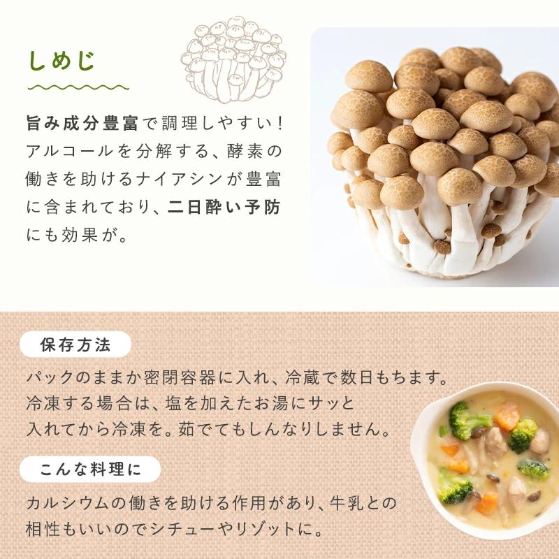 きのこセット 九州産・福岡・長崎・大分・宮崎 : おおつる青果 - 通販