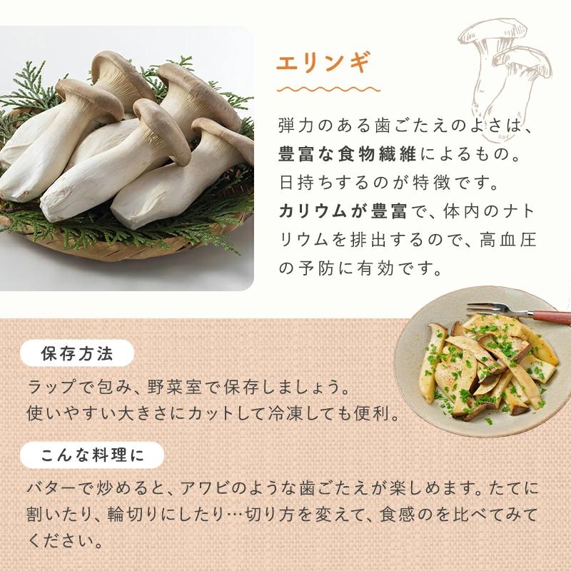 きのこセット 九州産・福岡・長崎・大分・宮崎 : おおつる青果 - 通販