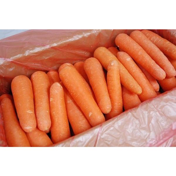 人参(にんじん) M・L・2Lサイズ1箱(約10kg) 国産 人参(にんじん) M・L・2Lサイズ1箱(約10kg) 国産