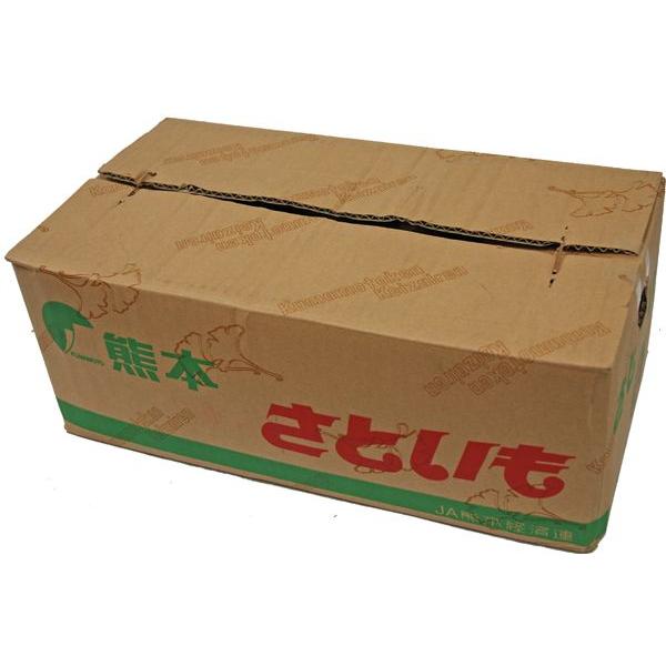 箱売り】 里芋（さといも） 2L〜Lサイズ 1箱（10kg） 熊本