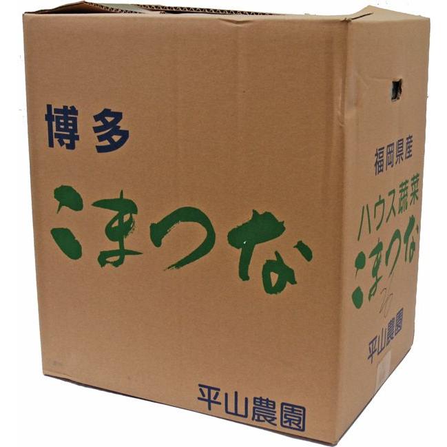 箱売り】 小松菜（こまつな） 1箱（20袋入り／約4kg） 福岡産