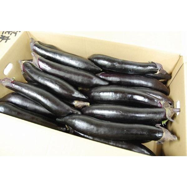箱売り】 茄子（なす・ナス） 1箱（約4kg入り） 九州産 【業務用