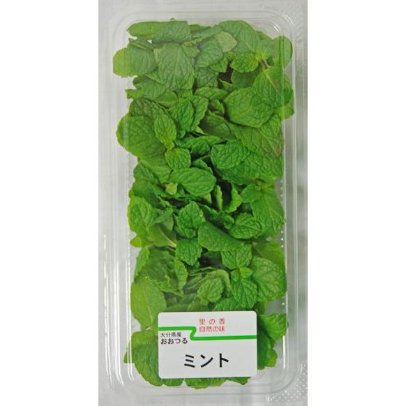 ミント １パック 国産 ハーブ 野菜 やさい おおつる青果 通販 Yahoo ショッピング