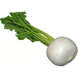 九州産 かぶ カブ 蕪 １玉 九州の安心 安全な野菜 九州 希望者のみラッピング無料 福岡産