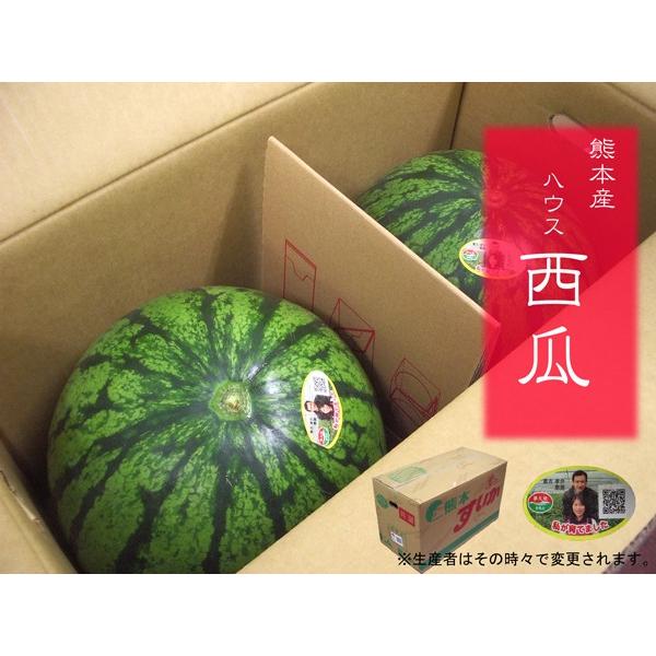 ハウス西瓜（すいか・西瓜） ２玉入り１箱２Ｌサイズ　九州・熊本県産