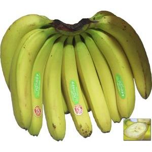 送料無料 バナナ 出群 ハニーバナナ 1房 送料無料/新品 エクアドル産 約2.2ｋｇ スムージーにピッタリ