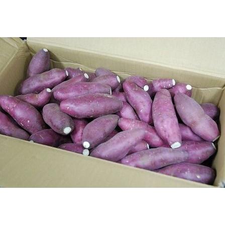 箱売り】 さつま芋（さつまいも・薩摩芋・サツマイモ） 1箱（M