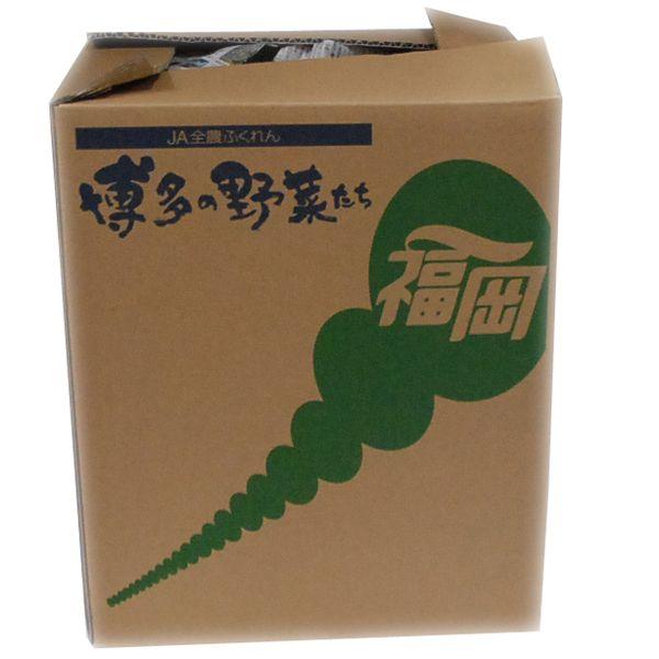 【箱売り】　水菜（みず菜）　1箱（２００ｇ×20袋入り）　福岡産　 【業務用・大量販売】【RCP】｜ootsuru｜03