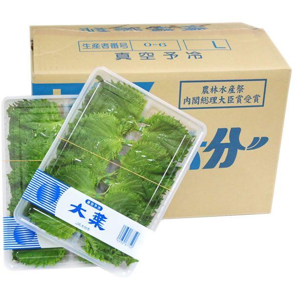箱売り＞ 大葉（青ジソ・しそ） 1箱（100枚入り1p×20p：計2000枚）国産