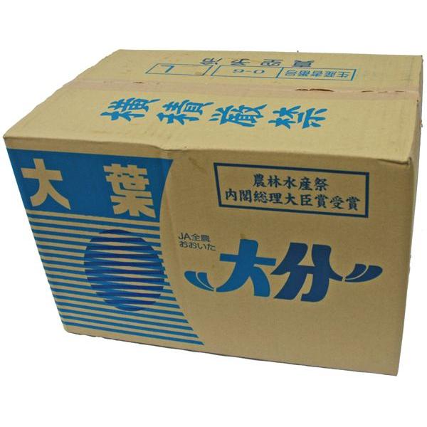 箱売り＞ 大葉（青ジソ・しそ） 1箱（100枚入り1p×20p：計2000枚）国産