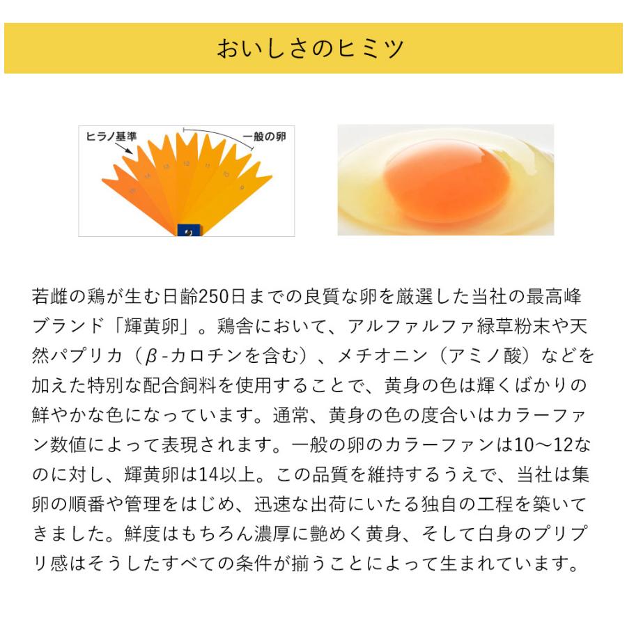 【卵】　九州産　輝黄卵　（玉子・たまご・卵・タマゴ）　10玉パック　福岡産・九州産　九州　たまご｜ootsuru｜03