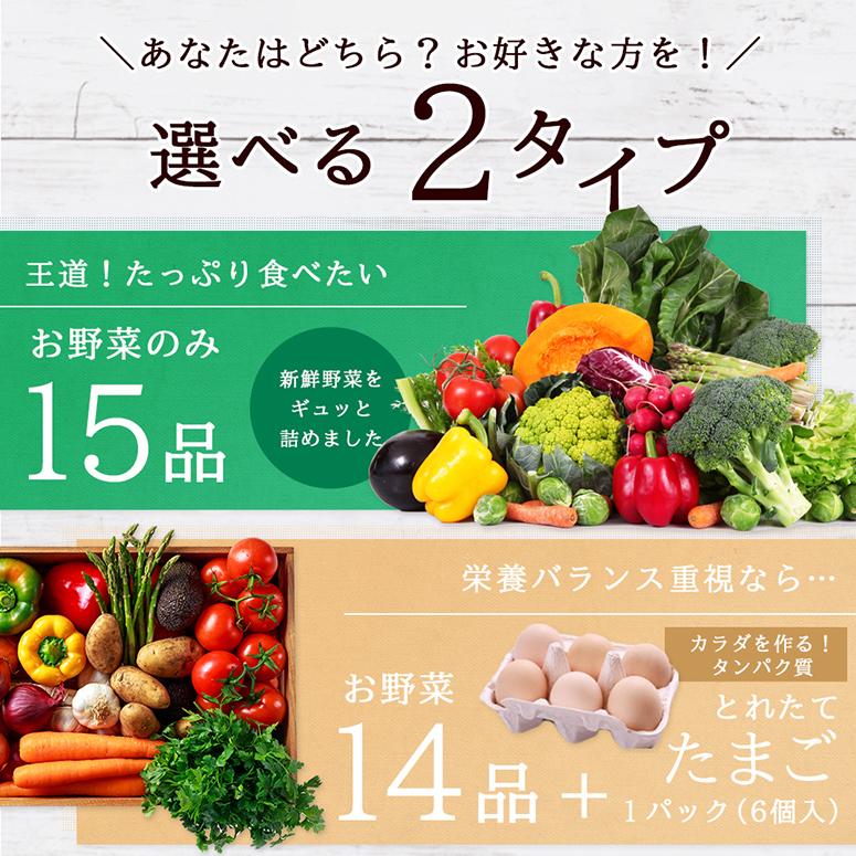 【あすつく】【セット】おまかせ　九州野菜セット　15品 旬の野菜詰め合せ・おまかせ詰め合わせセット！西日本　【送料無料】｜ootsuru｜02