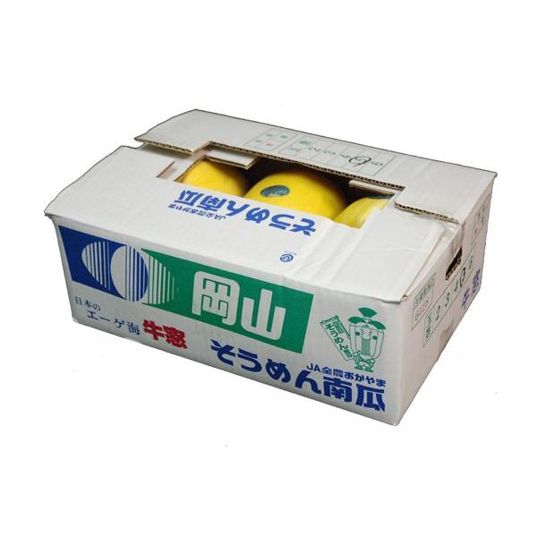 そうめん南瓜 そうめんかぼちゃ そうめんうり 糸瓜 金糸うり 1箱2玉 6玉