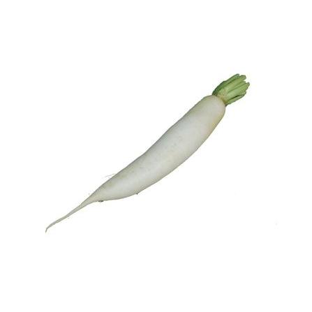 九州産 大根 （だいこん・ダイコン） 1本（小） 九州・青森・北海道