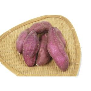 九州産 さつま芋（さつまいも・サツマイモ・甘藷） 1箱（約5kg入り