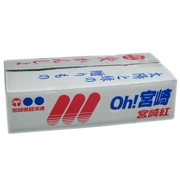 サツマイモ　　　1ｋ袋　5個入り 九州産 さつま芋（さつまいも・サツマイモ・甘藷） 1箱（約5kg入り