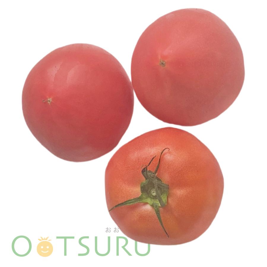 九州産 とまと（トマト） すぐれた栄養食材！ Mサイズ×3玉 九州の